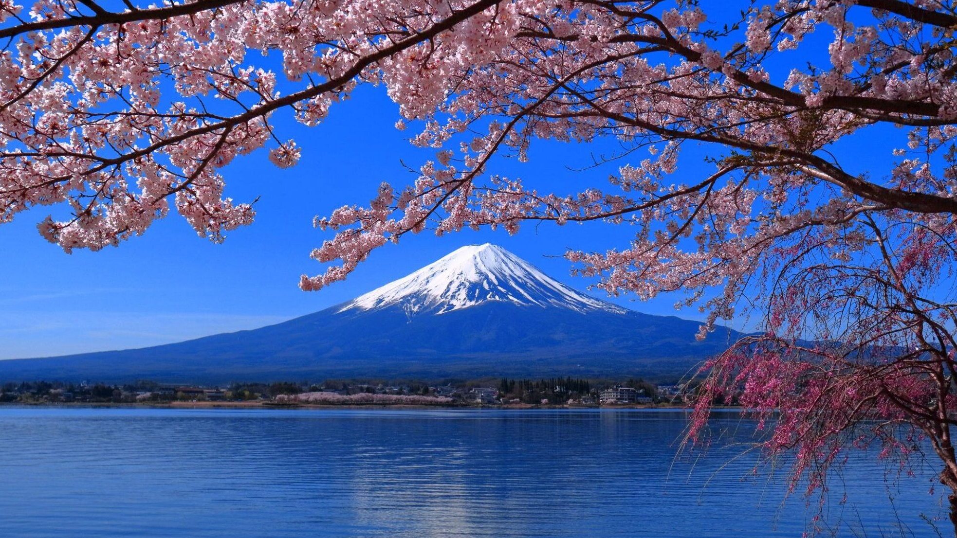 富士山②
