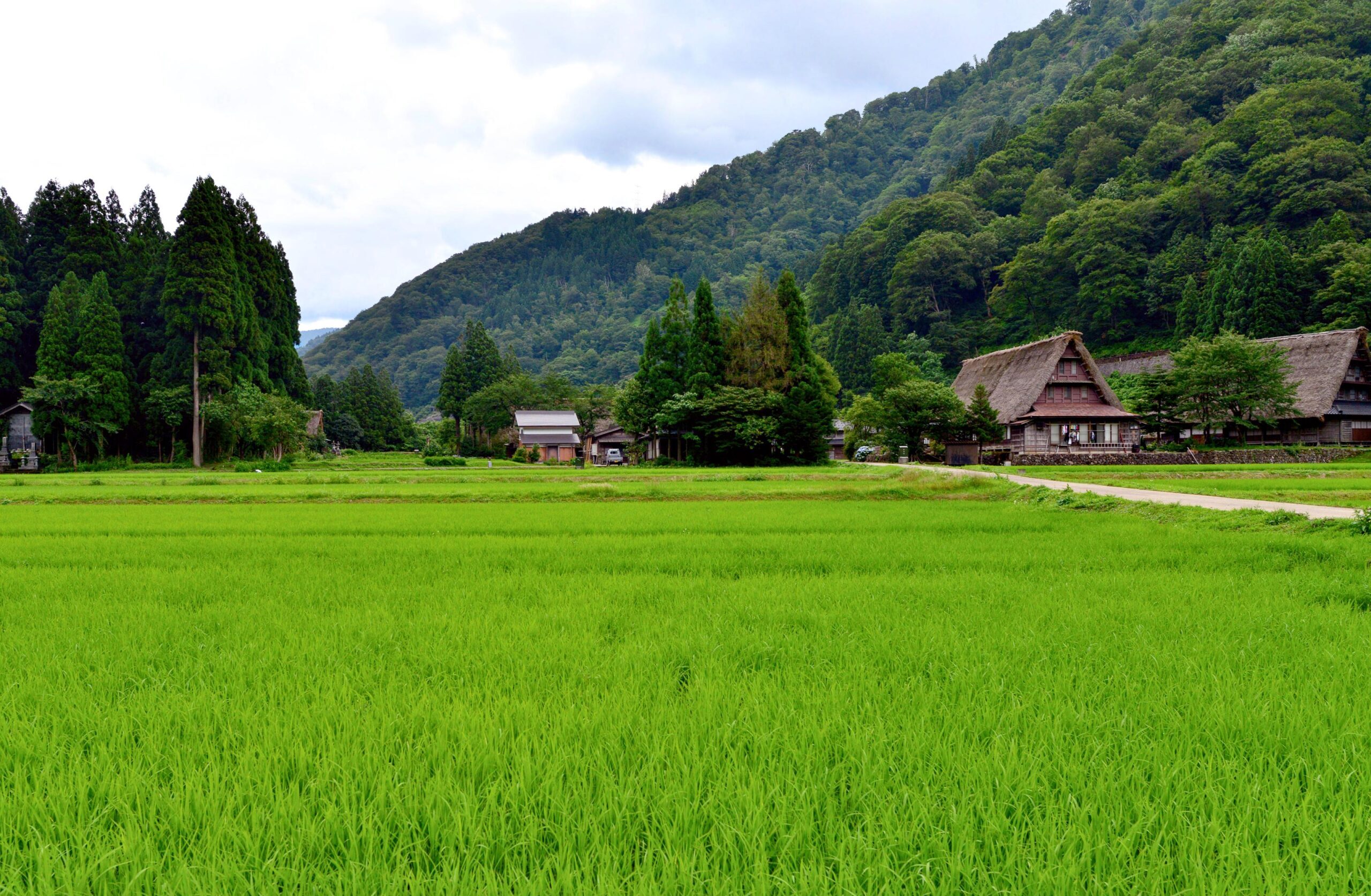 日本景色