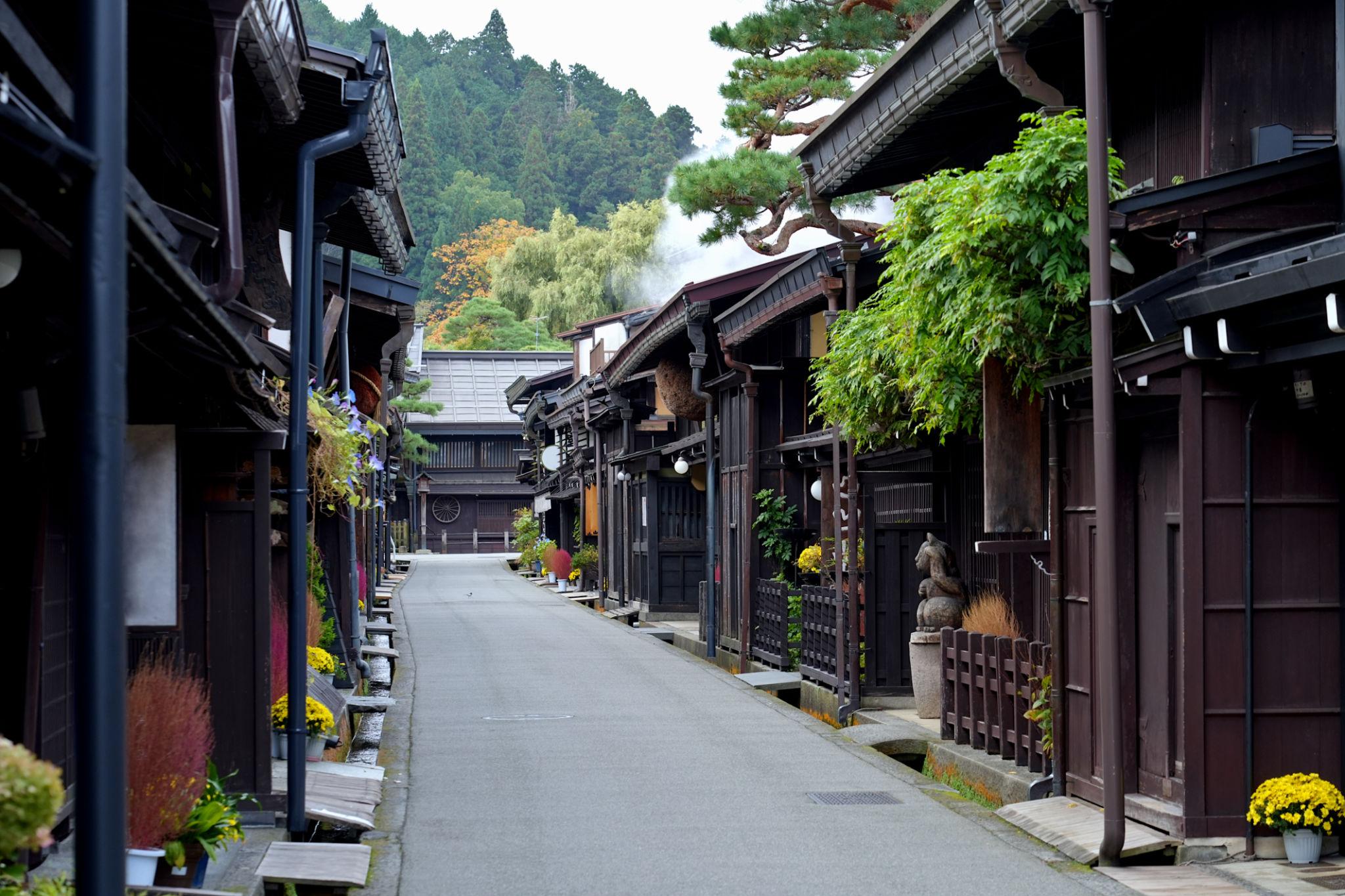 高山