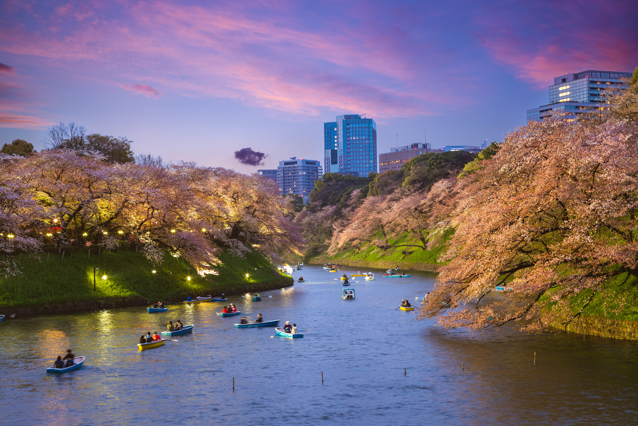 Chidori ga fuchi is the moat located at the northwest side of the Imperial Palace in tokyo, japan. It is named after its shape, similar to that of a bird, chidori, a plover