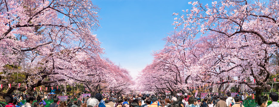 上野公園①