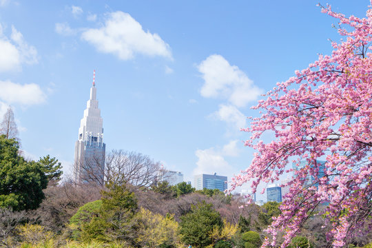 新宿御苑①